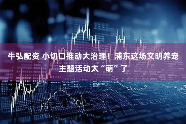 牛弘配资 小切口推动大治理！浦东这场文明养宠主题活动太“萌”了