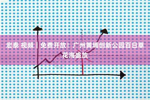 宏泰 视频｜免费开放！广州黄埔创新公园百日草花海盛放