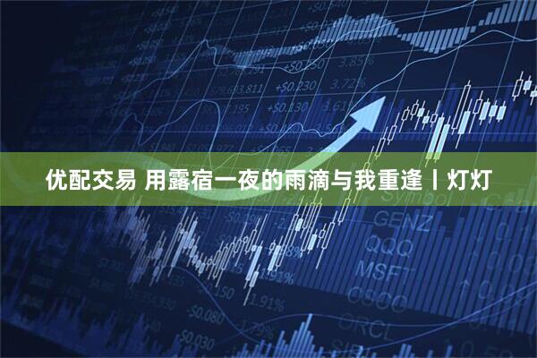 优配交易 用露宿一夜的雨滴与我重逢丨灯灯
