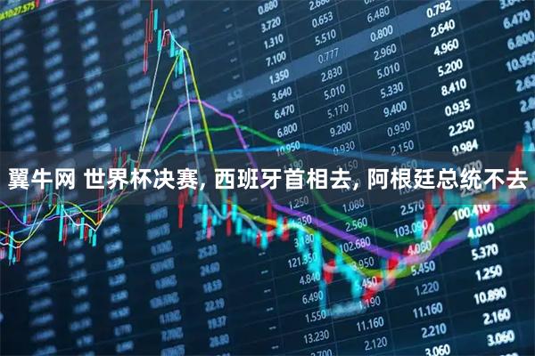 翼牛网 世界杯决赛, 西班牙首相去, 阿根廷总统不去