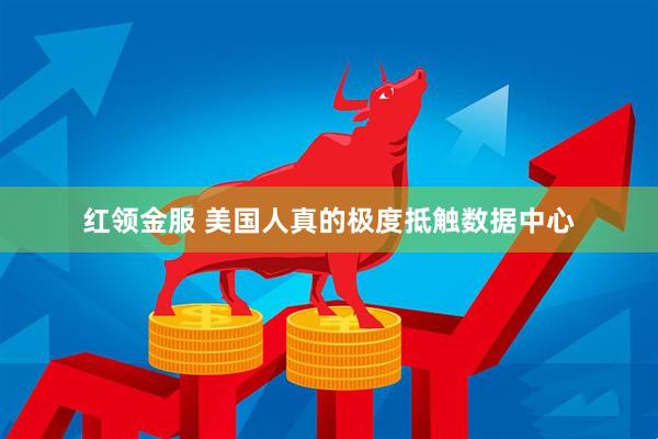 红领金服 美国人真的极度抵触数据中心
